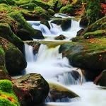 Malcolm Mark - @marcusmalcolm39 - Instagram