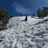 marcus_mansour - @marcusmansour397 - TikTok
