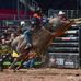 Marcus Mast Bull Rider - Facebook