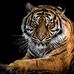 Marcus Mathenia - Facebook