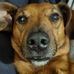 Marcus Mayers - Facebook