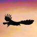 Mark McCarroll - Facebook