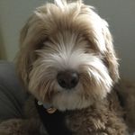 Marcus McCarty - @marcobabycocopuffs - Instagram