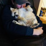 Marcus Mccormick - @marcus.mccormick - Instagram