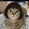 mar😼 - @mar_mccullers - TikTok
