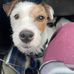 Mark McDade - Facebook