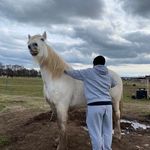 Marcus McDermott - @mmac__ - Instagram