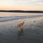 Marcus McGraw - @marcus1620 - Instagram