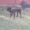 marcusmcgrew5 - @forevastr8862 - TikTok