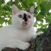 Marcus Meyer - Facebook