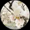 Marcus Mejia - @tobixmaster - TikTok