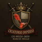 Marcus Mello - @criatorio_ig_imperio - Instagram