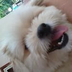 Marcus Meng - @meng.marcus - Instagram