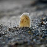 Marcus mercier - @_marcus_mercier - Instagram