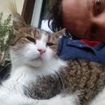 marcus merz - @merz_marcus - Instagram