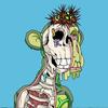 marcusmessina34 - @marcusmessina34 - TikTok