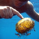 Marco Milazzo - @marcusmylae - Instagram