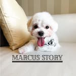 Marcus-Mochi - @marcus.mochi - Instagram