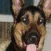 Marcus Mohan - Facebook