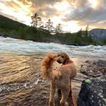 Marcus Mohr - @marcusmhr - Instagram