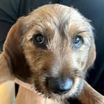 Marcus Mohr - @mohr.marcus - Instagram