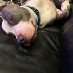 Marcus Monday - Facebook