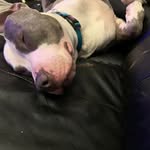 Marcus Monday - @marcusmonday34 - Instagram
