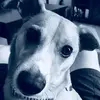 Marcus Monnier - @marcusmonni - TikTok