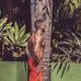 Marcus Moreira Machado - Facebook