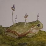 Marcus Morrison - @marcus_thefrog - Instagram
