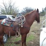 Marcus morrow - @tophand_morrow - Instagram