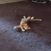 Marcus Muldrow - Facebook