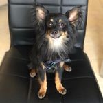 Marcus Mulligan - @sirmarcusmulligan - Instagram