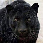 Marcus Mullins - @marcus.mullins.33 - Instagram