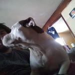 Marcus Mullins - @marcusgagemullins - Instagram