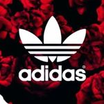 Marcus Munoz - @marcus_munoz3 - Instagram