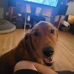 Marcus Murdock - @campfirehotheads - Instagram