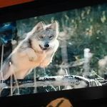 marcus nickerson - @marcus_nickerson679 - Instagram