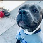Marcus Nieves - @marky._.23 - Instagram