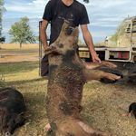 Marcus Nolan - @marcusnolan397 - Instagram
