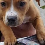 Marcus Norman - @norman_marcus - Instagram