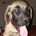 marcus olson - @prairiedog0613 - Instagram