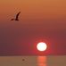 Marcus Olson - Facebook