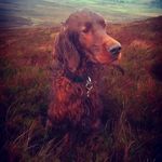 Marcus O'Neill - @marcuspauloneill - Instagram