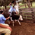 Marcus Paredes - Facebook