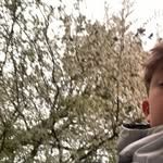 Marcus Pedersen - @marcus.pedersen12 - Instagram