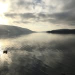 Marcus Perryman - @marcus.perryman - Instagram