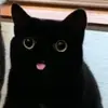 Marcus Philemon - @marcus.philemon169 - TikTok