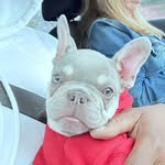 Marcus “Stack” Post - @cxldhearted_bullycamp - Instagram