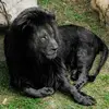 Marcus Pritchett853 - @marcprit - TikTok